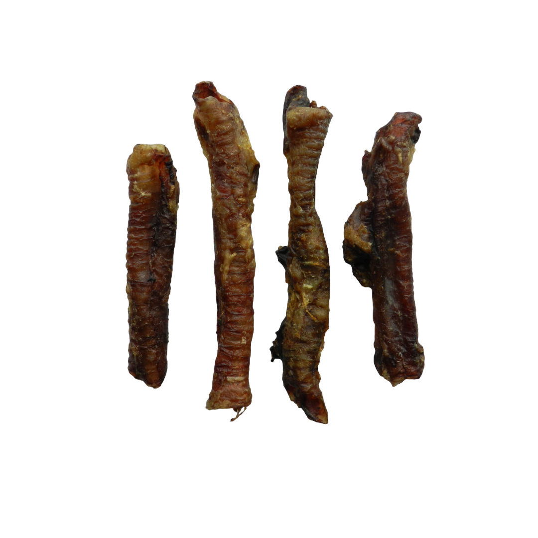 lamsluchtpijp