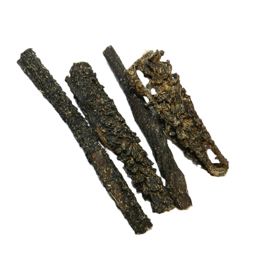 Kamelenpens