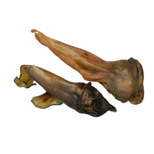 Kamelenoren