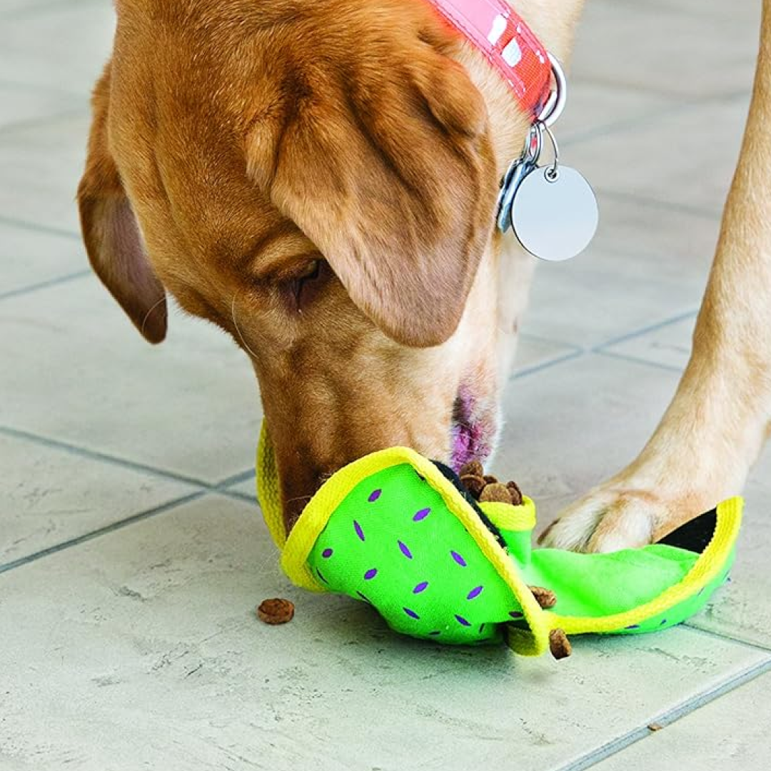Kong Ballistic Hide 'n Treat