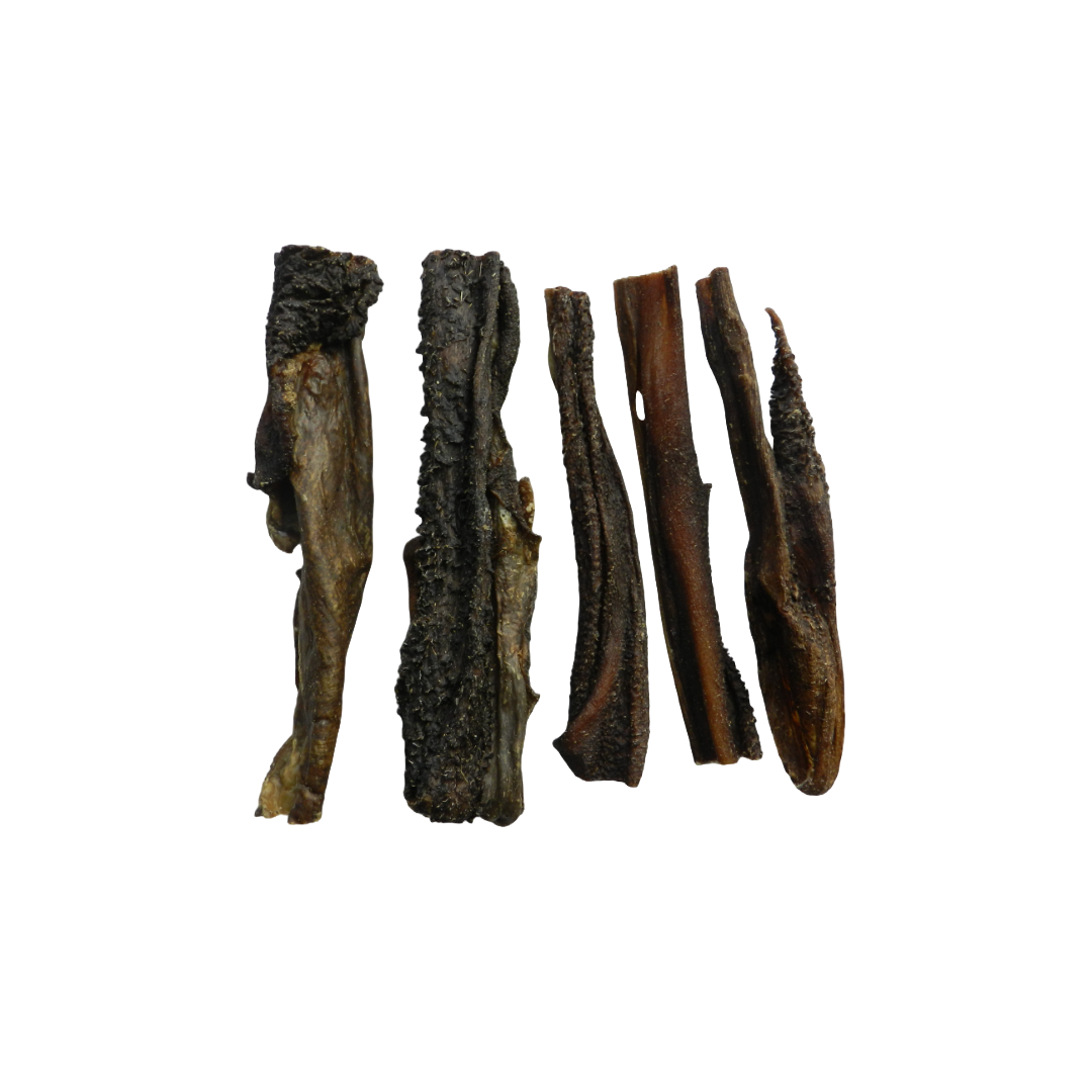 lamspens