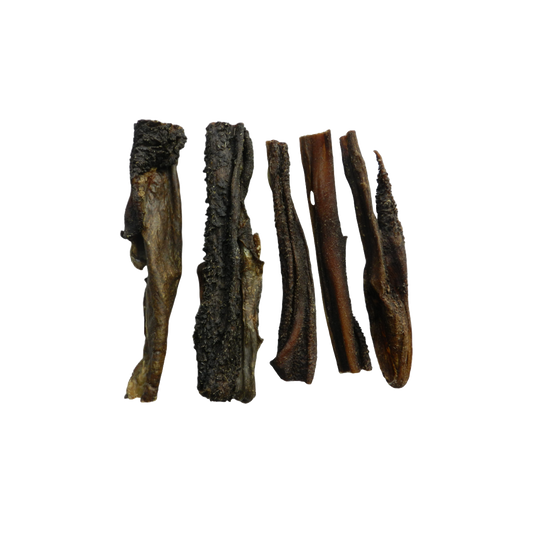 lamspens