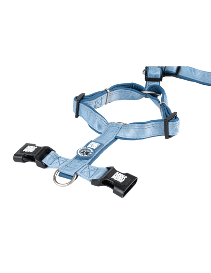 Max en Molly comfort-h-harness matrix 2.0 kleur : oceaan maat L