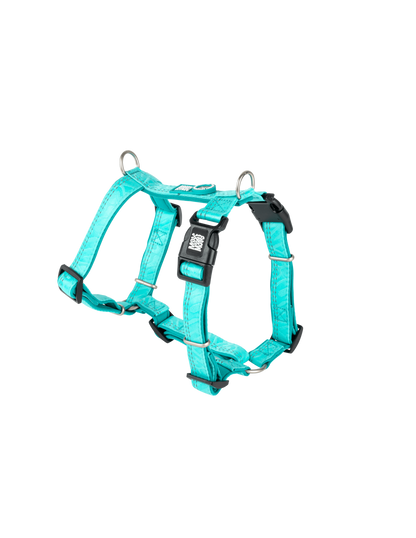 Max en Molly comfort-h-harness matrix 2.0 kleur : turquoise maat: L