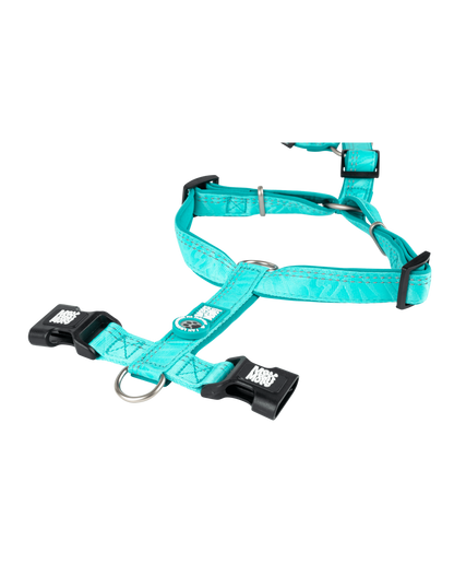 Max en Molly comfort-h-harness matrix 2.0 kleur : turquoise maat S