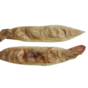 Runderblaas