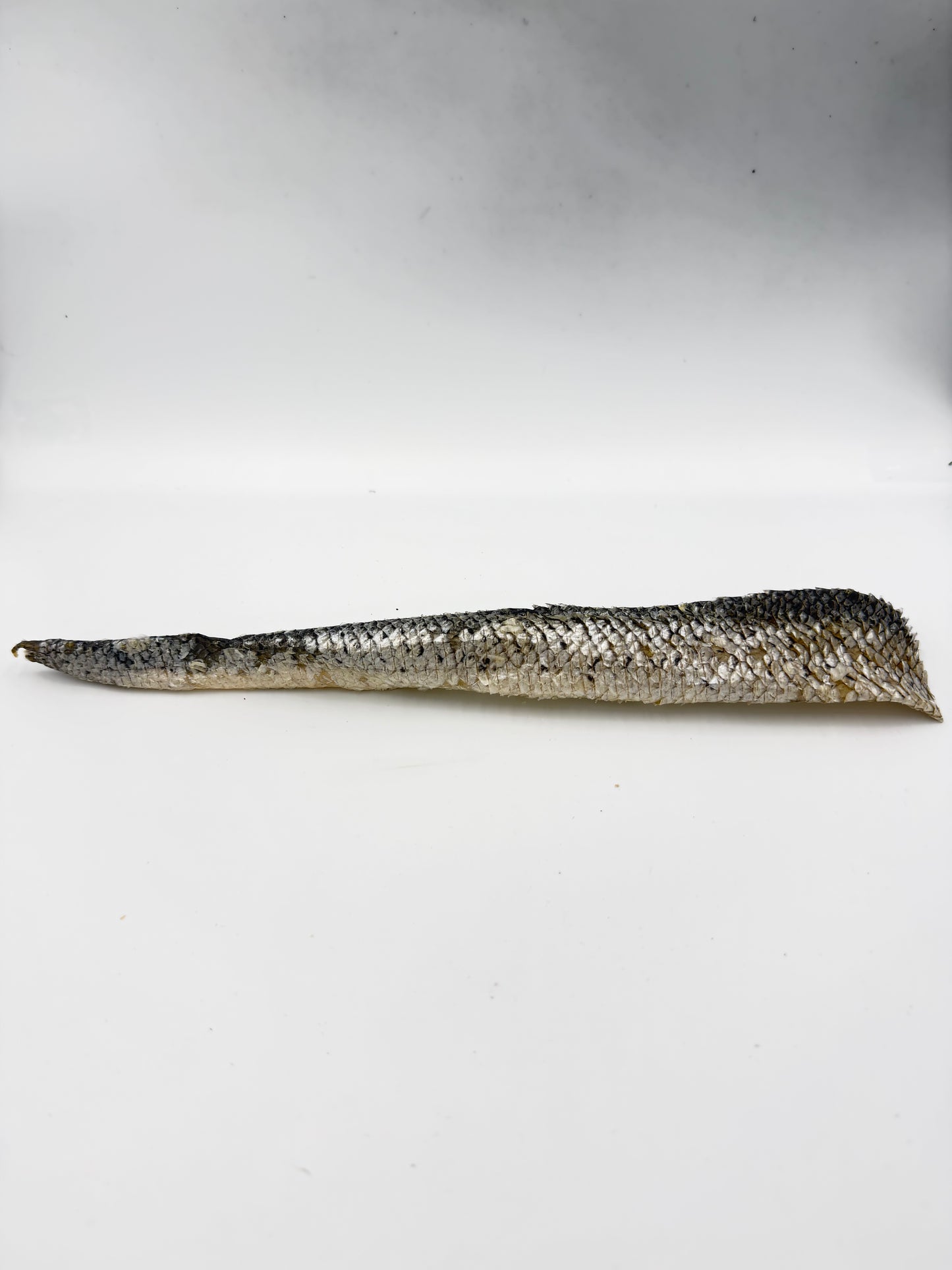 Zalmhuid